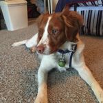 Mark Gemmill - @gpa80 - Instagram