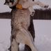 Mark Gendreau - Facebook