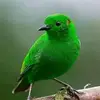 Mark Genga - @markgenga796 - TikTok