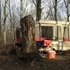 markgerman29 - @markgerman29 - TikTok