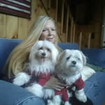 mark germani - @lost_in_translation_12 - Instagram