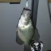 Mark Gerold592 - @markgerold0 - TikTok