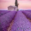 Markus Gideon - @user66834401 - TikTok