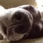 Mark A. Ginsberg - @mark.ginsberg - Instagram