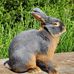 Markus Glauser - Facebook