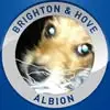 Mark Glockling - @mark.glockling - TikTok