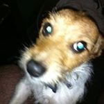 Mark Glockling - @markglockling - Instagram