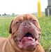 Mark Goble - Facebook