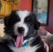 Mark Goble - Facebook