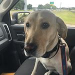 Mark Gochenour - @bourbonwhiskeythelab - Instagram