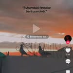 Sedat Göçmen - @gocmen_market - Instagram