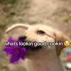 MarkusGoettel63🫡 - @markus.goettel.6 - TikTok