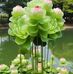 Mark Goh Swee Hwa - Facebook