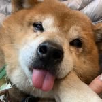 Riju - @mark.go.hi.ri - Instagram
