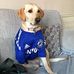 Mark Golder - Facebook
