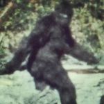 Mark Gonyea - @m_gonyea - Instagram