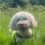 Mark Goodfellow - @mark.goodfellow.587 - Instagram