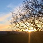 Mark Goodison - @mark0goodison - Instagram