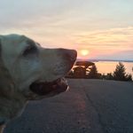 Mark Goodspeed - @pe_teach_2006 - Instagram