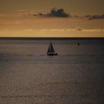 Mark Goodwin - @mgoodwinbda - Instagram