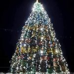 Mark Gorman - @hor.mark - Instagram