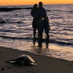 Mark Gosnell - @gosnell_1977 - Instagram