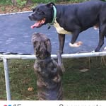 Mark Gosnell - @shrimper143 - Instagram
