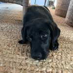 Mark Gottfried - @mark.gottfried - Instagram