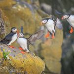 Mark Goyen - @downupandphoto - Instagram