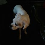 mark grasso - @markg2405 - Instagram