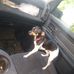 Mark Greeley - Facebook