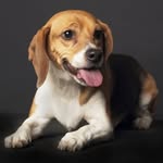 Mark Greenbaum - @markgreenbaum - Instagram