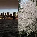 Mark Greenidge - @markgreenidge - Instagram