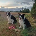 Mark Greening - @mark_greening - Instagram