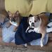 Mark Greenwalt Sr. - Facebook