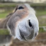 Mark Greig - @greig285 - Instagram