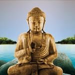 Mark Gresham - @the_zin_buddha - Instagram