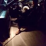 Mark Grey - @markgrey3 - Instagram