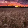 Mark Grey - @mark.grey59 - TikTok