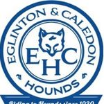 Mark Grice - @eglintonandcaledonhounds - Instagram