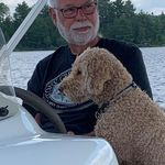 Mark Grice - @mark.grice.169 - Instagram
