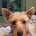 Mark Griebeler - Facebook