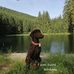 Marko Griebel - Facebook