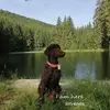 markogriebel1155 - @markogriebel1155 - TikTok