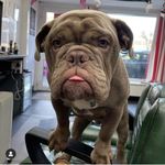Mark Griffin - @markgriffin84 - Instagram