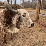 Mark Griffith - @fallowfarm58 - Instagram
