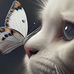 Mark Grigg - Facebook