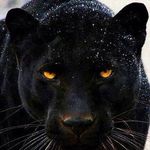 Mark Grimshaw - @mark.grimshaw.3363 - Instagram