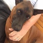 Mark Grimshaw - @grimshaw_mark - Instagram