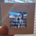Mark Grimshaw - Facebook